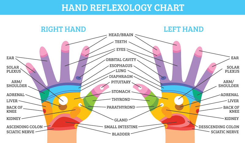 Australian School of Reflexology - hand reflexology