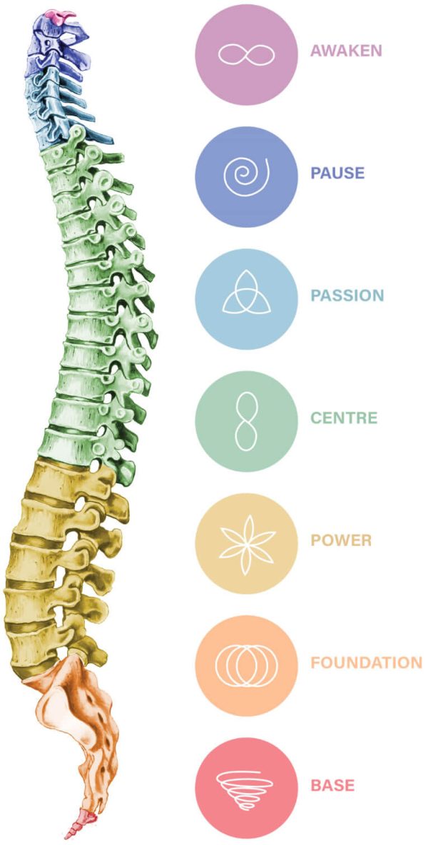 Spinal Flow CENTRAL COAST Seven Branch Healing